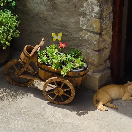Borda Diego Liguerre de Ara