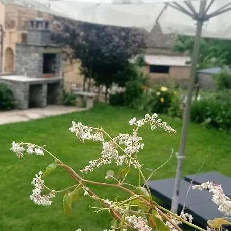 Borda Diego * Liguerre de Ara