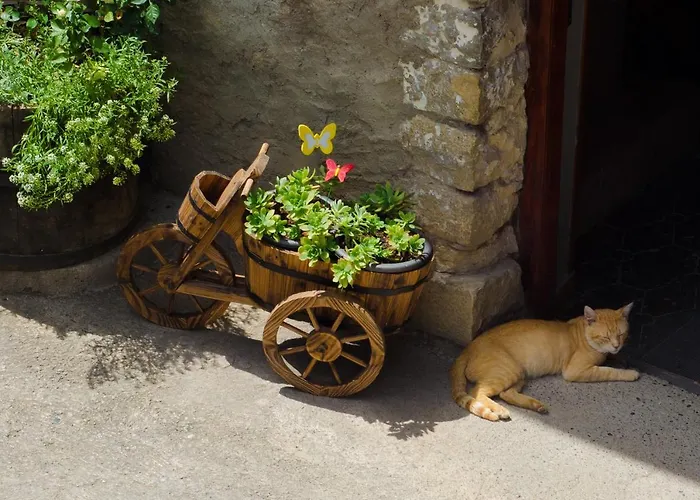 Borda Diego Ligüerre de Ara